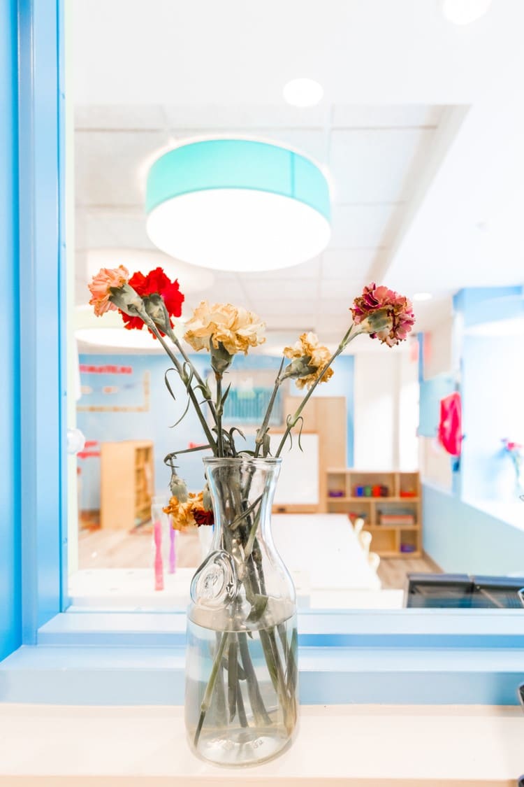 A Peek Into Our New Brookline Location Pine Village Spanish Immersion